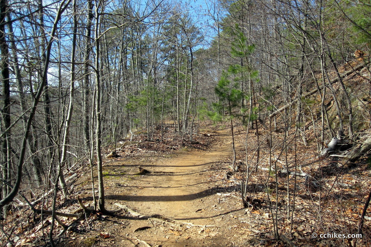 This trail has good single-track for mountain biking