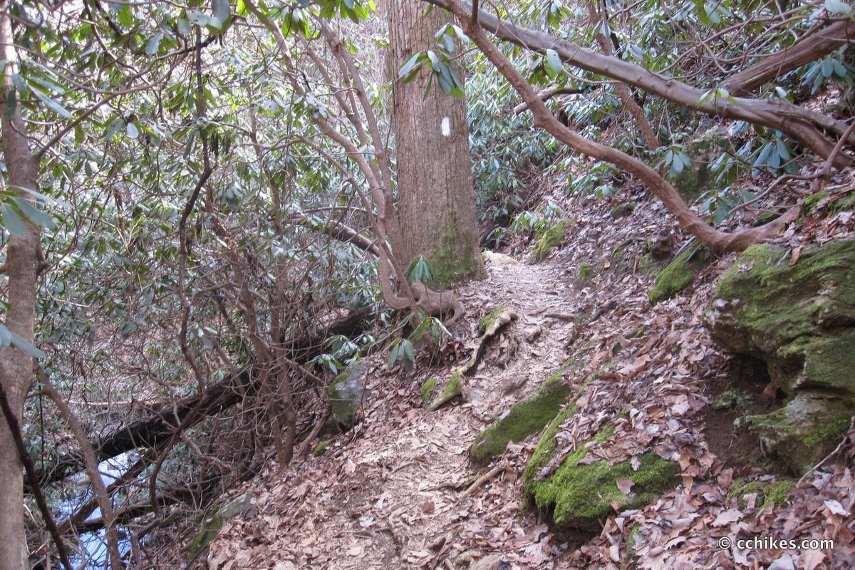 The hiking-only section of the trail