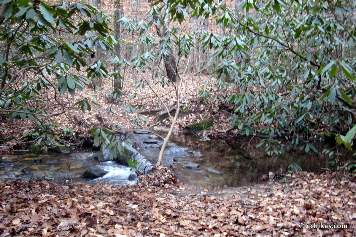 The creek crossing just before the path diverges from the trail