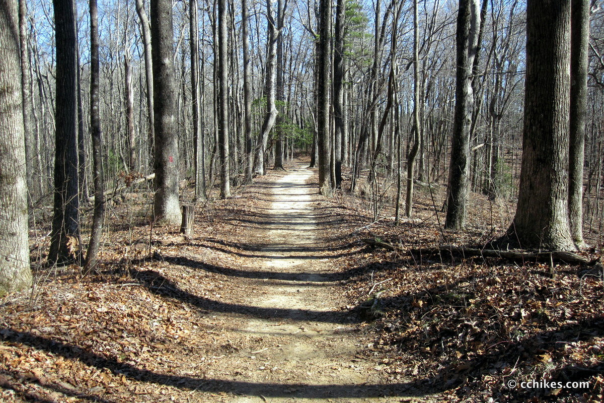 A good example of the trail