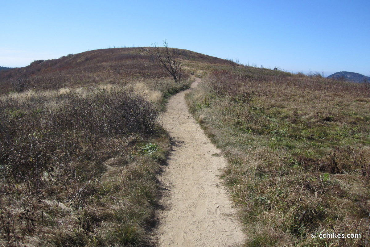 The sandy path to the top