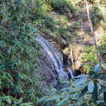 Hickey Fork Trail & Falls