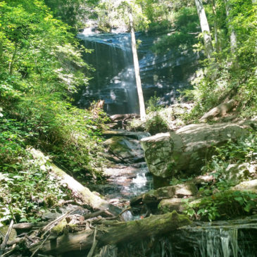 Twin Falls Loop (Pisgah National Forest, 6.5 miles)