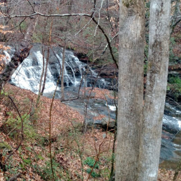 Carrick Creek Road Falls