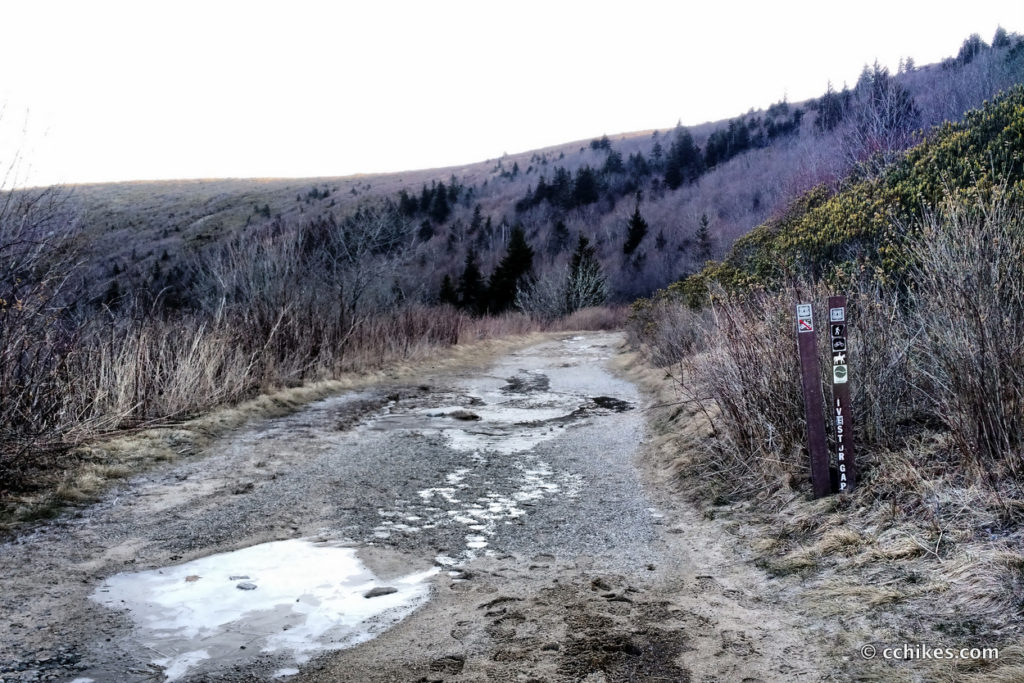 Shining Rock Wilderness Loop (24 miles) • C.C. Hikes