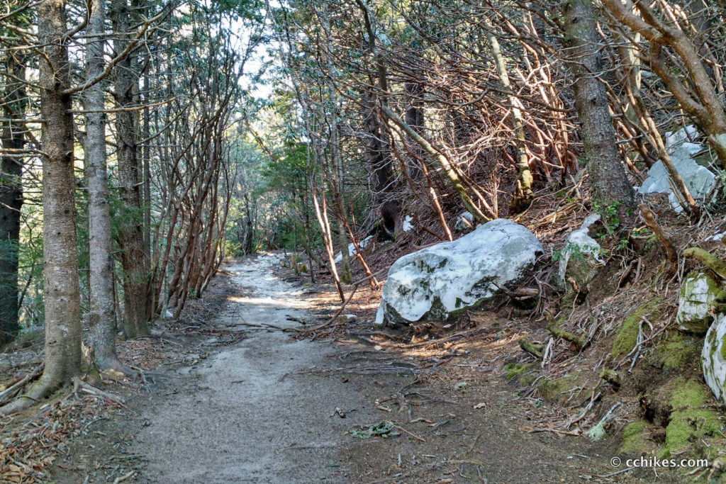 Shining Rock Wilderness Loop (24 miles) • C.C. Hikes