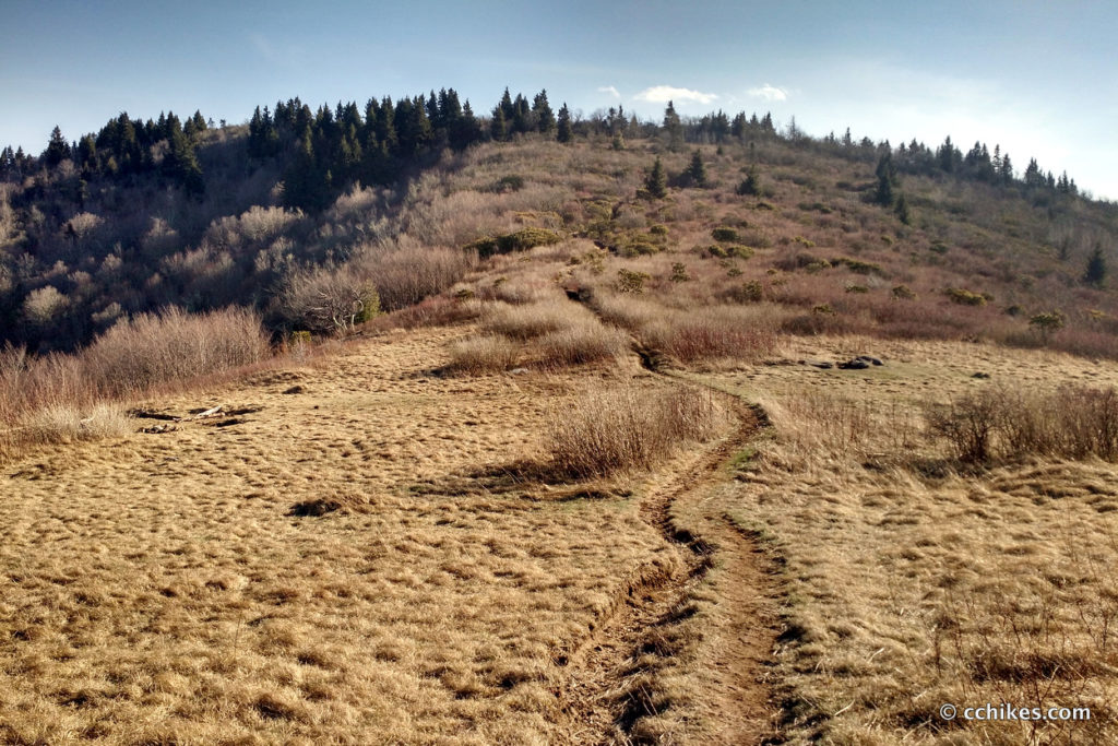 Shining Rock Wilderness Loop (24 miles) • C.C. Hikes