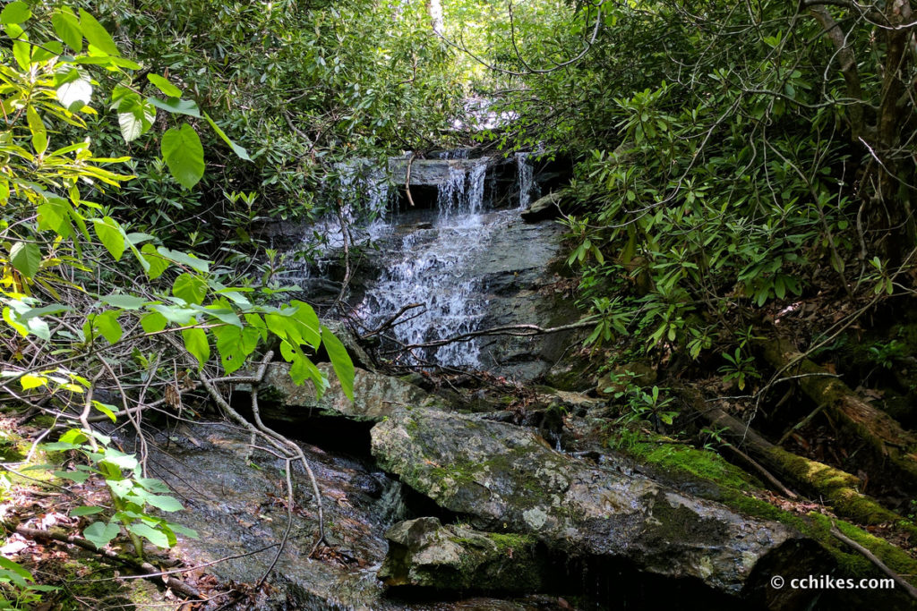 Hike the Pilot Cove & Slate Rock loop in Pisgah National Forest