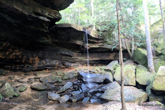 Backpack The Sipsey Wilderness Loop In Northwest Alabama