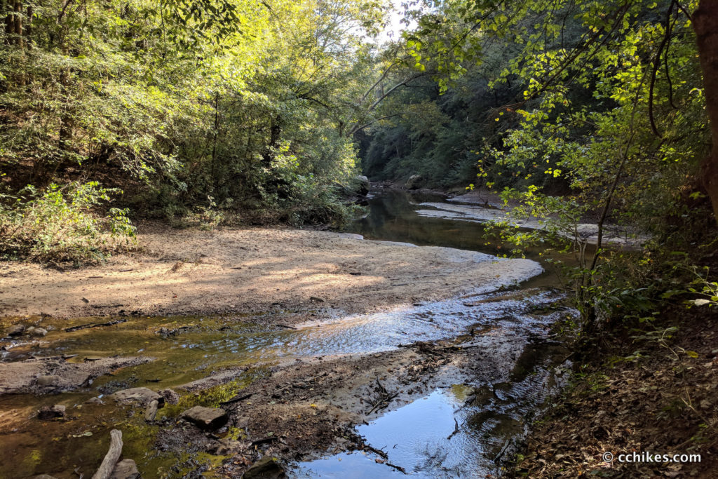 Backpack the Sipsey Wilderness Loop in northwest Alabama